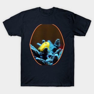 fish, cute fish, free fish, coral fish, fish coral, goldfish, pez, peces, pez colar, peces coral T-Shirt